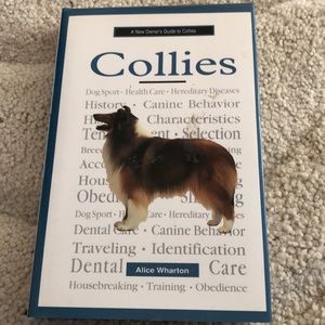 A New Owners Guide to Collies-an everything you need Collie dog book